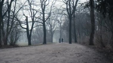 İnsanlar soğuk ve puslu bir kış gününde Berlin parkında yürüyüşe çıkıyorlar.
