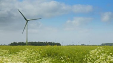2023 'te rüzgarlı bir yaz gününde, arka planda yabani çiçeklerin ve rüzgâr türbinlerinin olduğu bir tarlada rüzgar türbini. İnek maydanozu ön planda rüzgarda hareket ediyor. Aşağı Saksonya, Almanya.