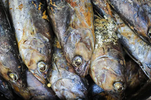 Piyasada ton balığı sektir