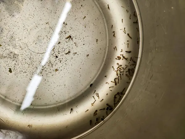 Bir bardak suya yaklaş.