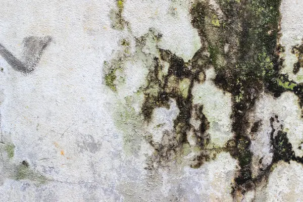 metin veya resim için alanı olan grunge arkaplanı