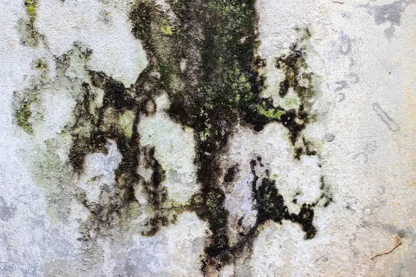 Grunge duvar arkaplanı, eski beton duvar dokusu,