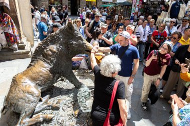 Floransa, İtalya - 10 Mayıs 2025: Turistler Il Porcellino heykelinin etrafında toplanarak yabandomuzu burnuna iyi şans getirmesi geleneğine katıldılar