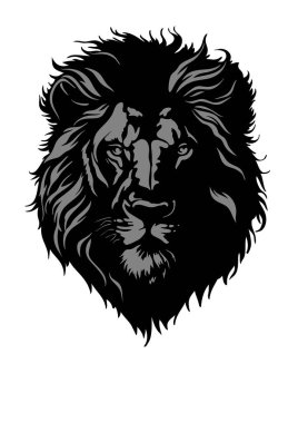Aslan başlı vektör görüntüsü. Siyah beyaz aslan.