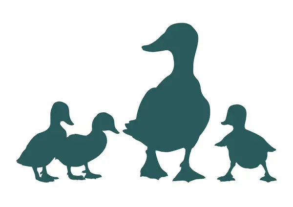 Anne ördek ve bebek yürüyüşe çıktı. Hayat anları. Vektör resmi.