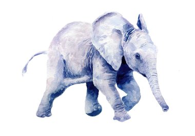 Küçük bir bebek filin suluboya çizimi.