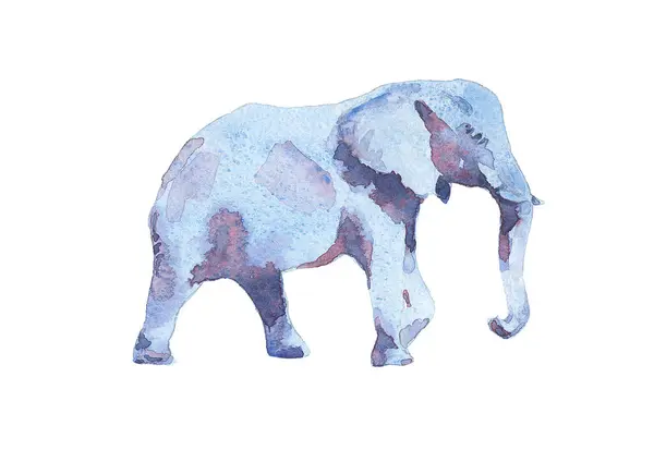 Yalnız erkek fil. Suluboya posteri.