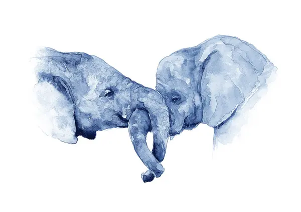 Küçük fillerin suluboya çizimleri.