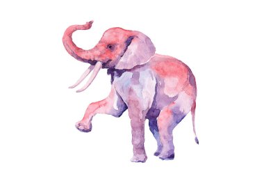 Suluboya tekniğinde pembe bir filin orijinal ve cesur bir görüntüsü..