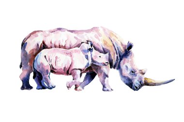 Vahşi ortamda buzağıyla gergedan. suluboya.