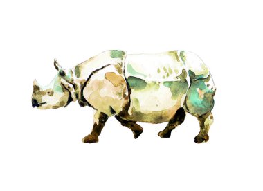 Asyalı gergedanlar koşuyor. Suluboya çizimi.