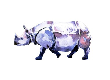 Yalnız erkek gergedan. Suluboya ile çizim.