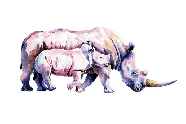 Vahşi ortamda buzağıyla gergedan. suluboya.