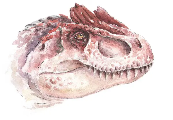 Dinozor kafası. Allosaurus Suluboya.