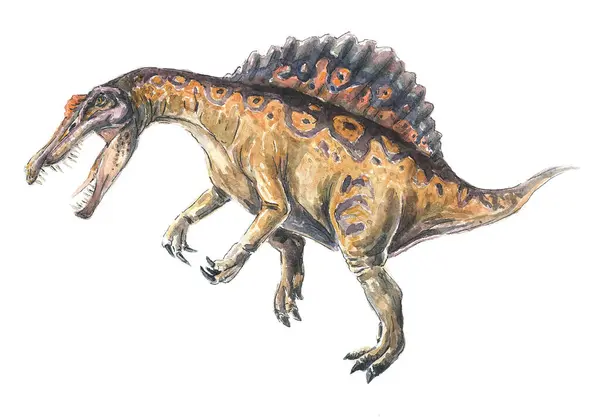 Yırtıcı dinozor, spinyinosaurus. Suluboya resim