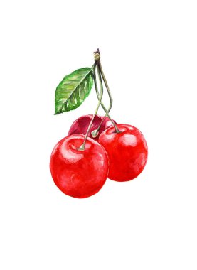 Üç olgun kirazın bileşimi. Teknikli suluboya. Yemekler için yazdır.