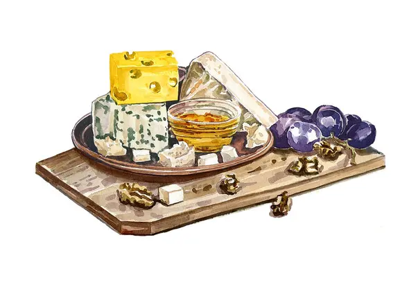 Peynir takımı. Suluboya çizimi
