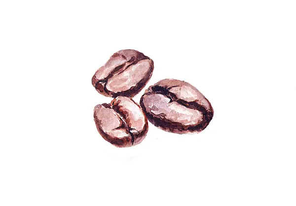 Üç kahve çekirdeği. Suluboya