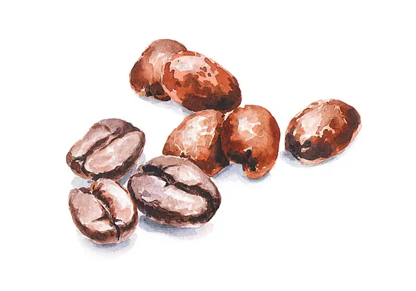 Beyaz arka planda kahve çekirdekleri