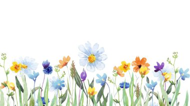 Suluboya çiçek arka plan vektör