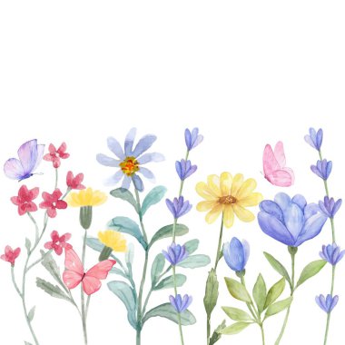 Çiçek açan botanik çiçekleri sınır çerçevesi. Beyaz arka planda renkli yabani çiçek. Renkli bahçe vektör illüstrasyonu.