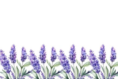 Suluboya vektör arkaplanlı lavanta çiçeği bahçesi. mor soyut duvar kağıdı tasarımı çiçekler, kır çiçekleri, çizgi sanatı