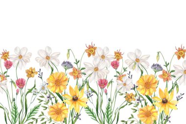 Çiçek açan botanik çiçekleri sınır çerçevesi. Beyaz arka planda renkli yabani çiçek. Renkli bahçe vektör illüstrasyonu.