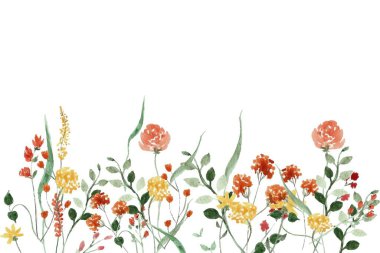 Küçük çiçekli suluboya düzenlemeler. Botanik illüstrasyon asgari biçim.