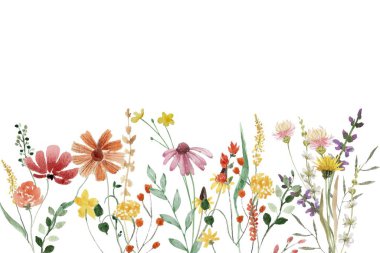 Küçük çiçekli suluboya düzenlemeler. Botanik illüstrasyon asgari biçim.