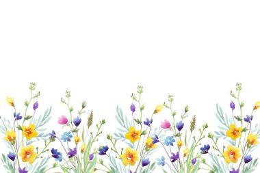 Küçük çiçekli suluboya düzenlemeler. Botanik illüstrasyon asgari biçim.