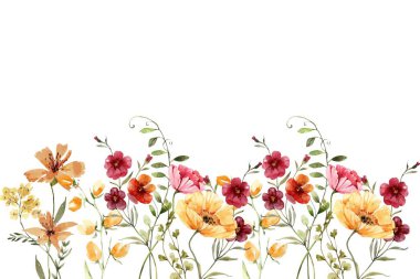 Çiçek açan botanik çiçekleri sınır çerçevesi. Beyaz arka planda renkli yabani çiçek. Renkli bahçe vektör illüstrasyonu.