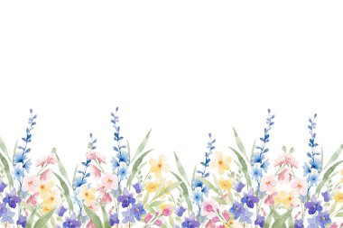 Çiçek açan botanik çiçekleri sınır çerçevesi. Beyaz arka planda renkli yabani çiçek. Renkli bahçe vektör illüstrasyonu.