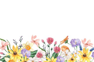 Çiçek açan botanik çiçekleri sınır çerçevesi. Beyaz arka planda renkli yabani çiçek. Renkli bahçe vektör illüstrasyonu.