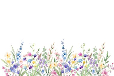 Çiçek açan botanik çiçekleri sınır çerçevesi. Beyaz arka planda renkli yabani çiçek. Renkli bahçe vektör illüstrasyonu.