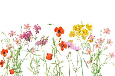 Tasarım için suluboya çiçekler arka plan vektörü.