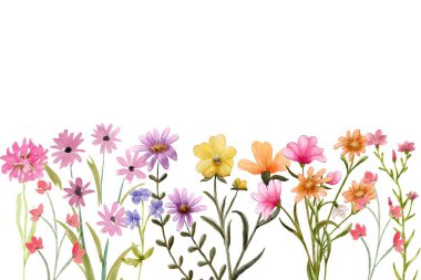 Beyaz arka planda suluboya çiçeksiz sınır çerçevesi. Renkli büyüyen yabani çiçekler, bitkiler, yapraklar ve dallar.