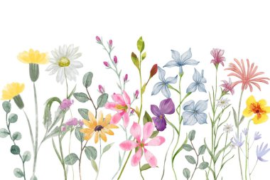 Renkli suluboya çiçekli çerçeve. Resimler beyaz arkaplanda izole edildi.