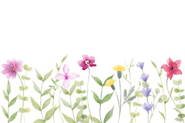 Çiçek açan botanik çiçekleri sınır çerçevesi. Beyaz arka planda renkli yabani çiçek. Renkli bahçe vektör illüstrasyonu.