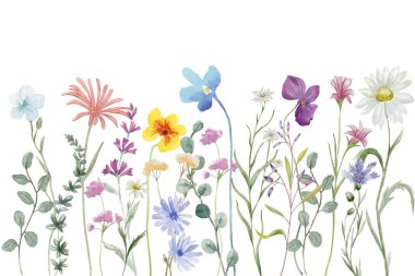 Çiçek açan botanik çiçekleri sınır çerçevesi. Beyaz arka planda renkli yabani çiçek. Renkli bahçe vektör illüstrasyonu.