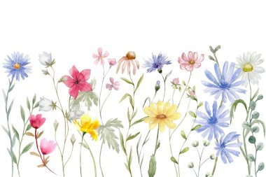 Çiçek açan botanik çiçekleri sınır çerçevesi. Beyaz arka planda renkli yabani çiçek. Renkli bahçe vektör illüstrasyonu.