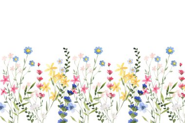 Çiçek açan botanik çiçekleri sınır çerçevesi. Beyaz arka planda renkli yabani çiçek. Renkli bahçe vektör illüstrasyonu.