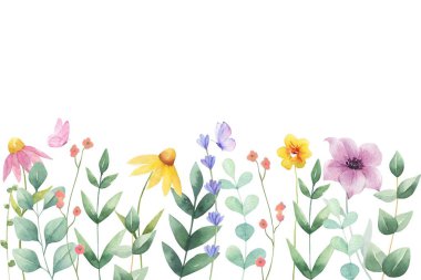 Küçük çiçekli suluboya düzenlemeler. Botanik illüstrasyon asgari biçim.