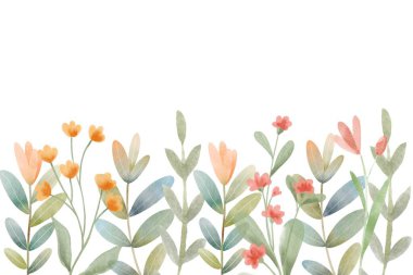 Küçük çiçekli suluboya düzenlemeler. Botanik illüstrasyon asgari biçim.