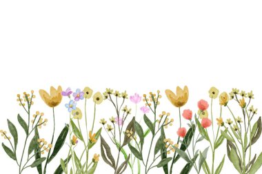 Küçük çiçekli suluboya düzenlemeler. Botanik illüstrasyon asgari biçim.