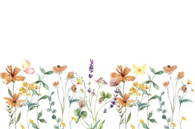 Çiçek açan botanik çiçekleri sınır çerçevesi. Beyaz arka planda renkli yabani çiçek. Renkli bahçe vektör illüstrasyonu.