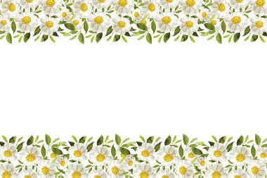 Tasarım için suluboya çiçekler arka plan vektörü.