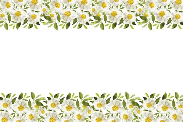 Tasarım için suluboya çiçekler arka plan vektörü.