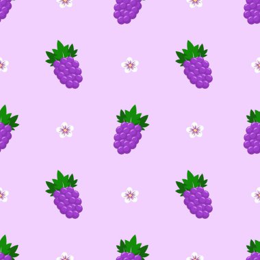 Mor üzümsüz arkaplan..