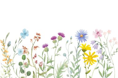 Tasarım için suluboya çiçek bahçesi arka plan vektörü.