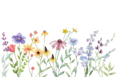 Tasarım için suluboya çiçek bahçesi arka plan vektörü.